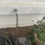 Go Pro Plumbing