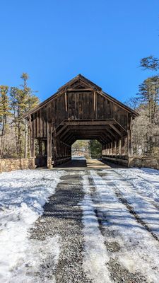 DuPont State Recreational Forest by null
