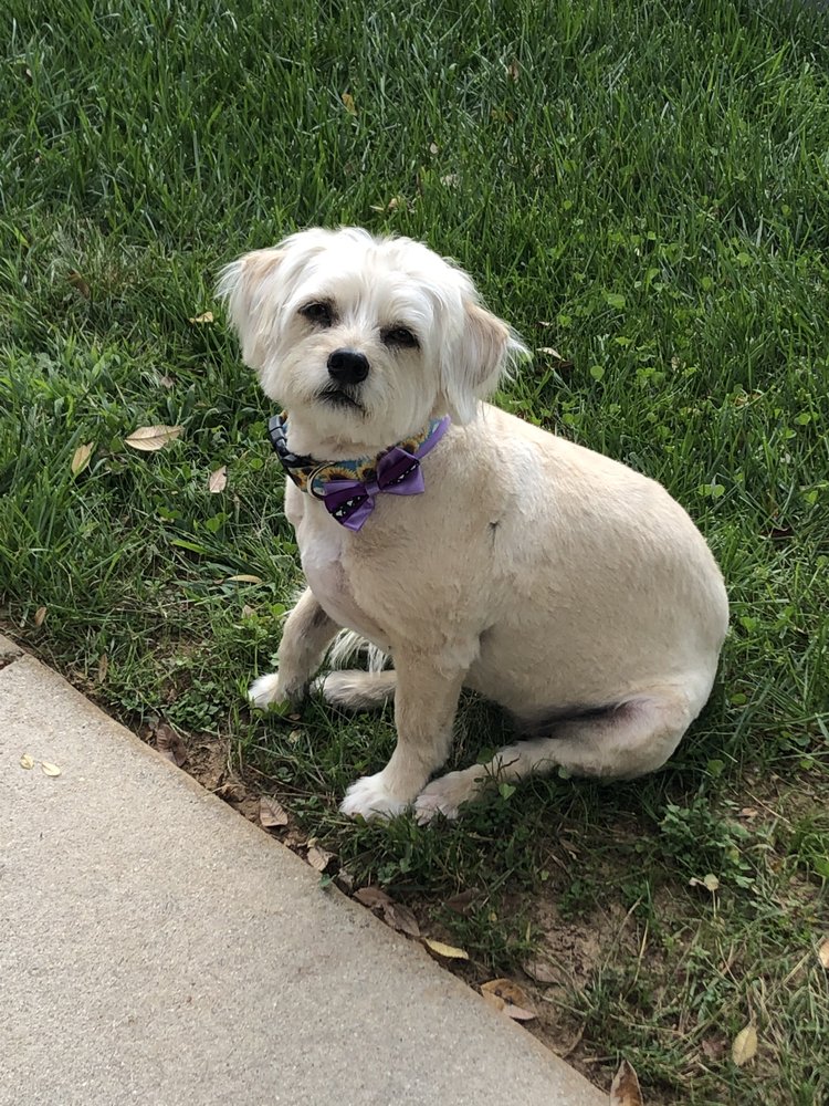 ENCHANTED TAILS PET SPA Updated October 2024 941 Hasting Hill Road