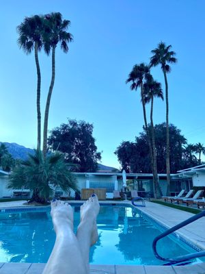 The Monkey Tree Hotel by AvantStay by null