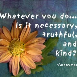 Kayla Garnet Rose, Ph.D. - Whatever you do... Is it necessary, truthful, and kind?