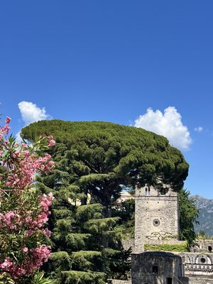 Infinity Terrace by null