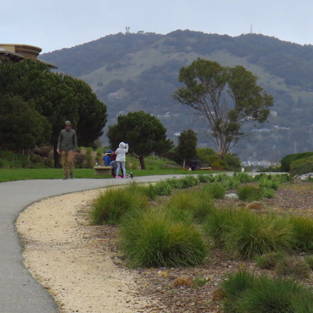 Shoreline Industrial Park - Parks Near Me - San Rafael, California Shoreline Industrial Park - Parks Near Me - San Rafael, California