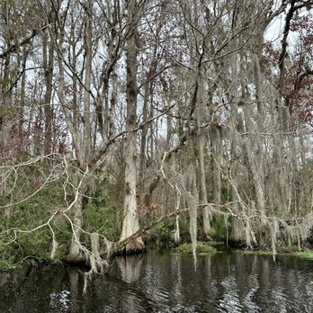 Sea Serpent Tour - Boat Tours Near Me - Saint Augustine, Florida
