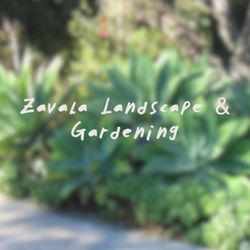 Zavala Landscape & Gardening - Logo
