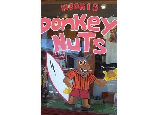 The Original Donkey Ball Store by null