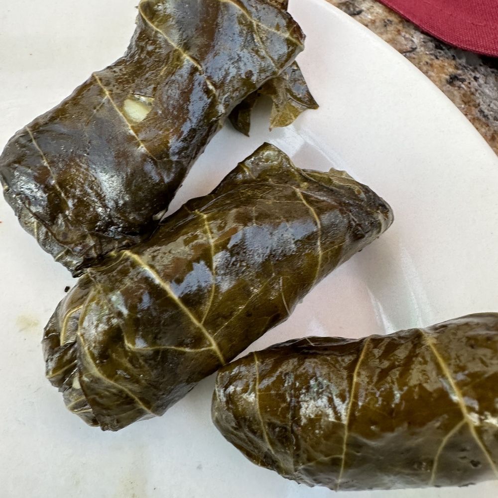 Flame Kabob - Grape Leaves - Middle Eastern Near Me - Orlando, Florida
