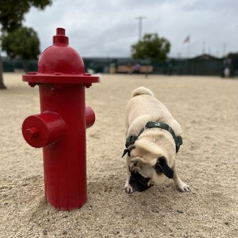 Orange Dog Park - Geo - Dog Parks Near Me - Orange, California Orange Dog Park - Geo - Dog Parks Near Me - Orange, California