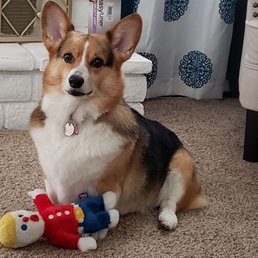 Duke and his new Mr. Bill toy...he loves it!