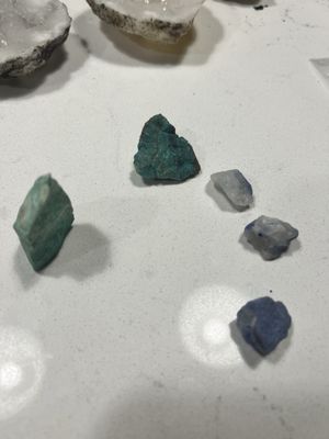 ZRS Fossils & Gifts by null