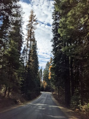 Ponderosa State Park by null