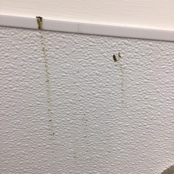 Five Below - Some sicko wipes his poopy fingers on the wall.  Disgusting! - Discount Store Near Me - Battle Creek, Michigan