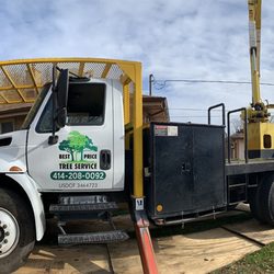 Stabilized bucket truck during a tricky tree removal.