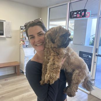 Seashore Pet Spa - Pet Groomers Near Me - San Clemente, California