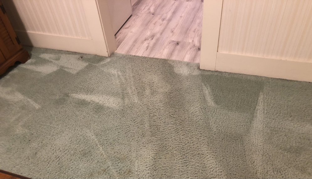 OXI FRESH CARPET CLEANING El Campo, Texas Carpet Cleaning Phone Number Yelp