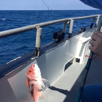 Dolphin Dock - Fishing Near Me - Port Aransas, Texas