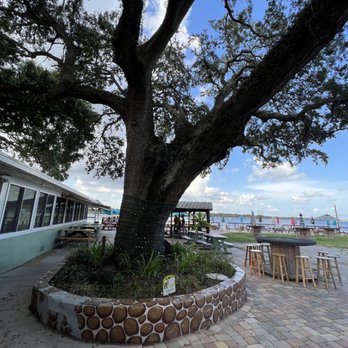 The River's Edge Bar and Grill - Bars Near Me - Gibsonton, Florida The River's Edge Bar and Grill - Bars Near Me - Gibsonton, Florida