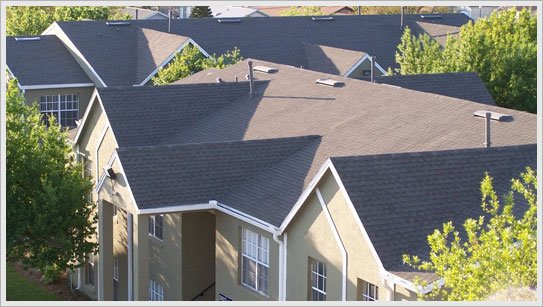 Slide of DFW Roofing & Construction