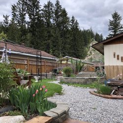 Pine Cones B&B - Owners keep a lovely garden well maintained. Hummingbirds flying around here.