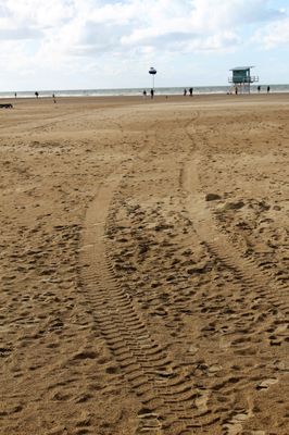 Photo of Plage de Deauville - Deauville, 14, FR.