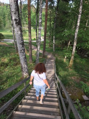 Vitlycke Museum by null