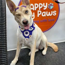 Happy Bay Paws