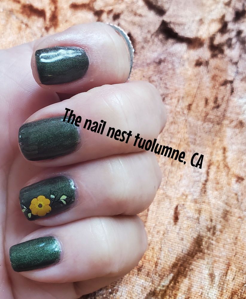 The Nail Nest Logo
