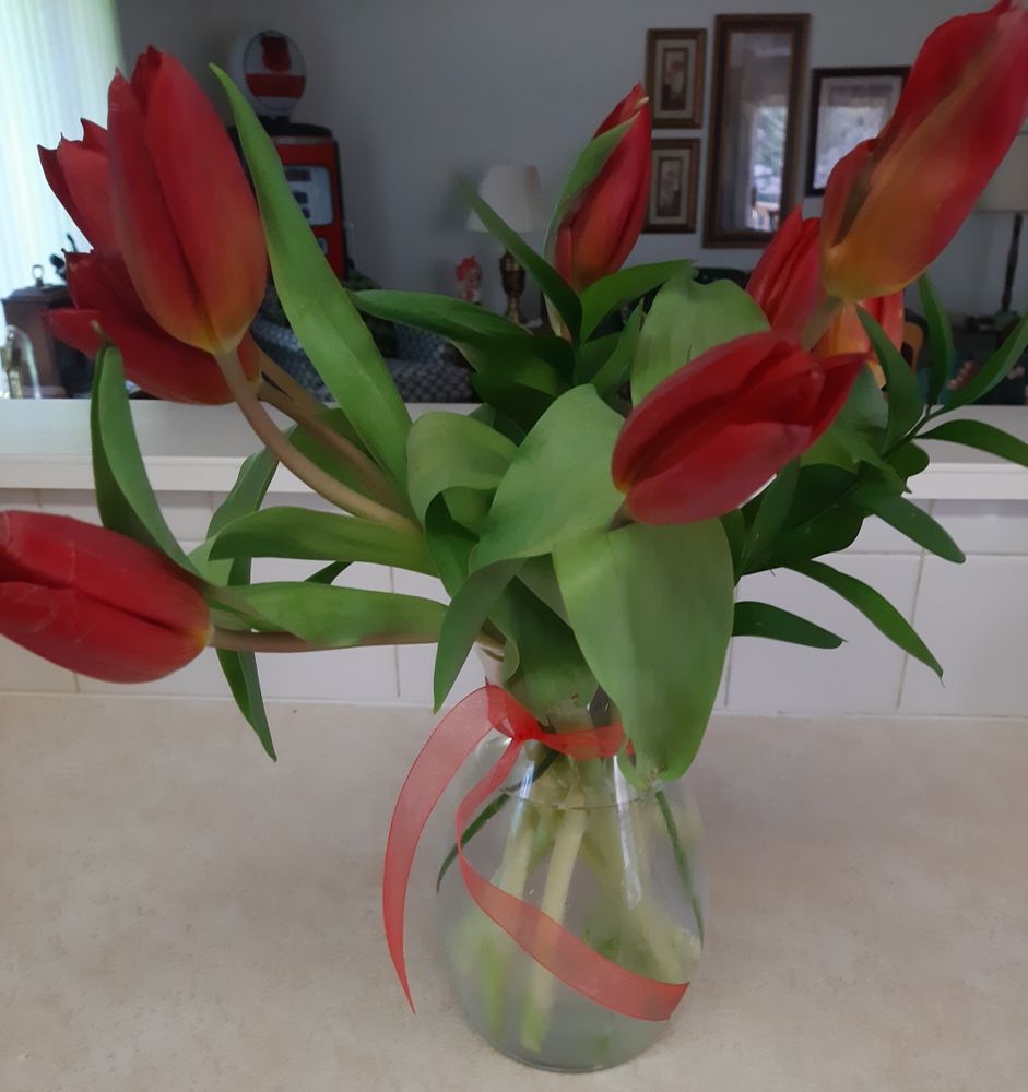 BLOSSOMS AND BLOOMS FLORIST Updated July 2024 207 W Monroe St