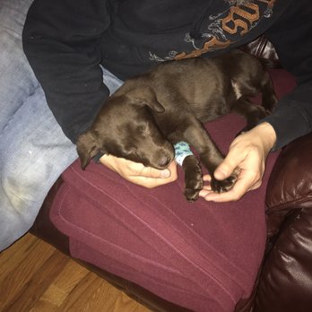booths corner farmers market pet store
