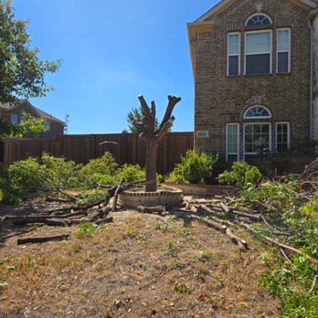 Almaraz Tree Services - Tree Services Near Me - Garland, Texas Almaraz Tree Services - Tree Services Near Me - Garland, Texas