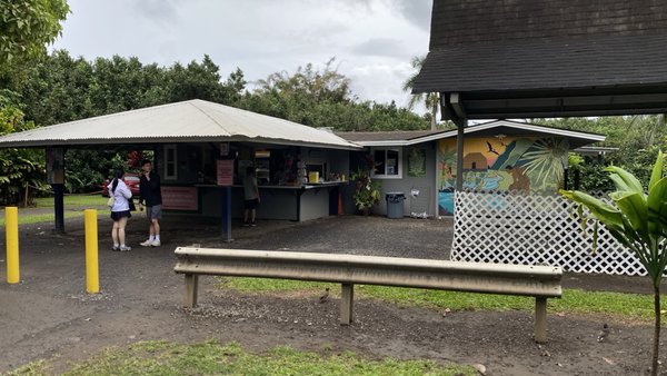 Aunty Sandy's Banana Bread by null