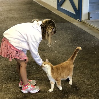 Sun Valley Farm - Attraction Farms Near Me - Versailles, Kentucky
