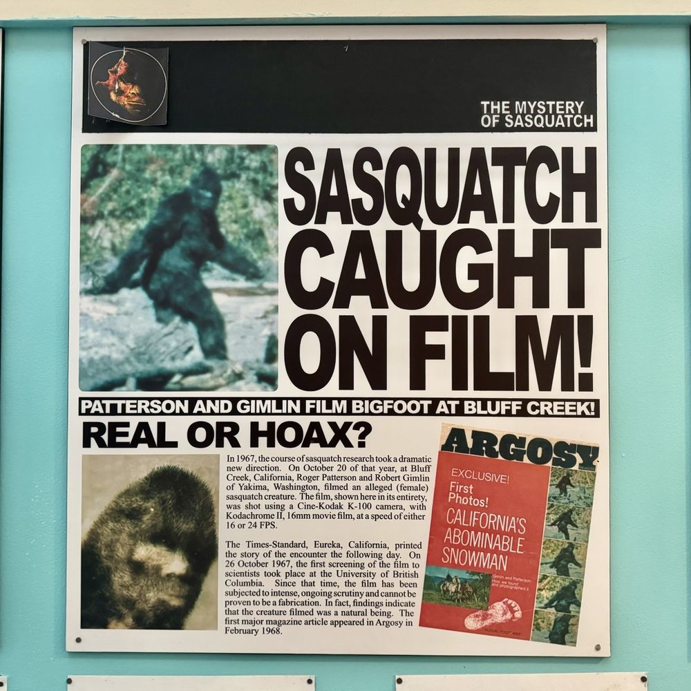 International Cryptozoology Museum - Bigfoot - Museums Near Me - Bangor, Maine International Cryptozoology Museum - Bigfoot - Museums Near Me - Bangor, Maine