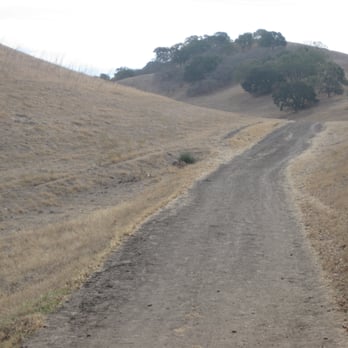 Old Borges Ranch - A trail - Hiking Near Me - Walnut Creek, California Old Borges Ranch - A trail - Hiking Near Me - Walnut Creek, California