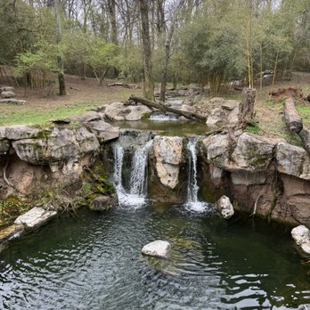 Nashville Zoo - Zoos Near Me - Nashville, Tennessee Nashville Zoo - Zoos Near Me - Nashville, Tennessee