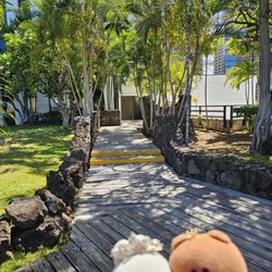 Honolulu Rooftop Garden - Wooden planks create a cool walkway!