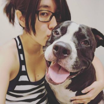 Camino Pet Hospital - All smiles at the vet when we're at Camino Pet Hospital! - Veterinarians Near Me - Irvine, California