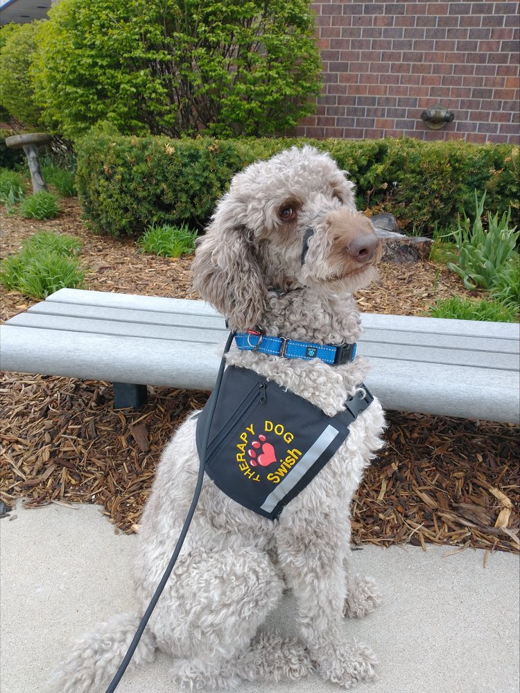 Perceptions - grief counselor in Omaha, NE