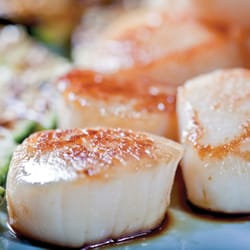 Scallops