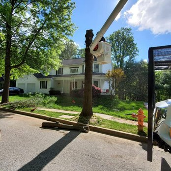 Orellana Tree Service - a tree that has fallen down - Tree Services Near Me - Bel Air, Maryland Orellana Tree Service - a tree that has fallen down - Tree Services Near Me - Bel Air, Maryland