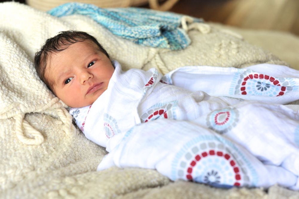 BELLYMAMA MIDWIFERY - Updated March 2025 - 13 Photos - 9999 NE 2nd Ave ...