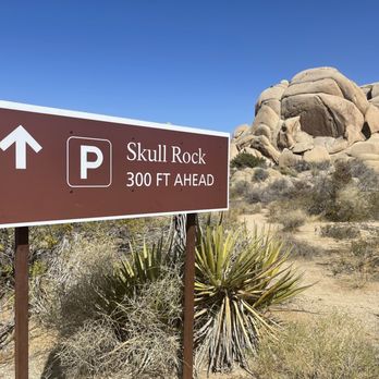 Skull Rock - Landmarks & Historical Buildings Near Me - Joshua Tree, California