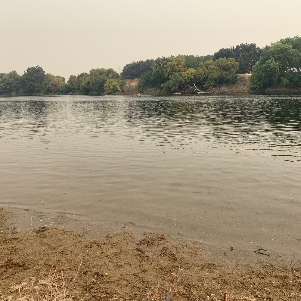 Paradise Beach - Arrived - Parks Near Me - Sacramento, California