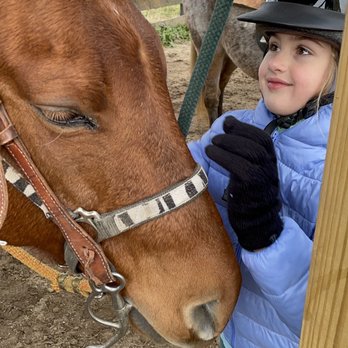 River's Bend Ranch - Getting to know our horses - Venues & Event Spaces Near Me - Stanley, Virginia