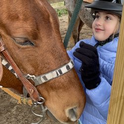 River's Bend Ranch - Getting to know our horses