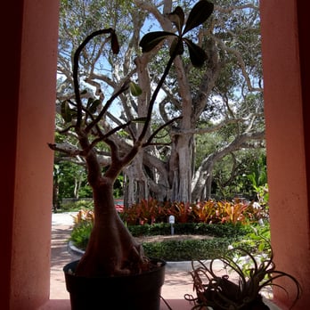 Thalatta Estate - Looking out at the driveway, from the office building. - Venues & Event Spaces Near Me - Palmetto Bay, Florida Thalatta Estate - Looking out at the driveway, from the office building. - Venues & Event Spaces Near Me - Palmetto Bay, Florida