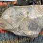 Photo of Eagle Gem & Gifts