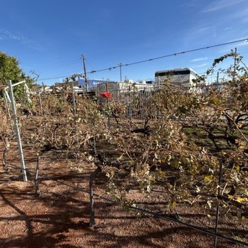 Gruet Winery - Wineries Near Me - Albuquerque, New Mexico