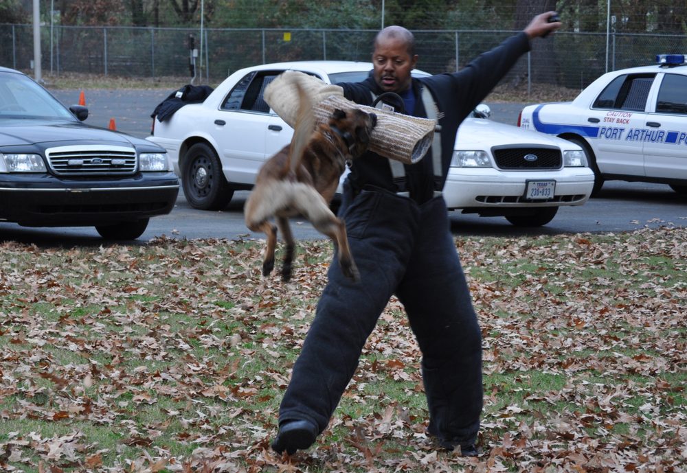 LITTLE ROCK K-9 ACADEMY - social services organization in Little Rock, AR