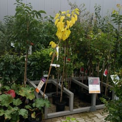 Gartencenter Brockmeyer